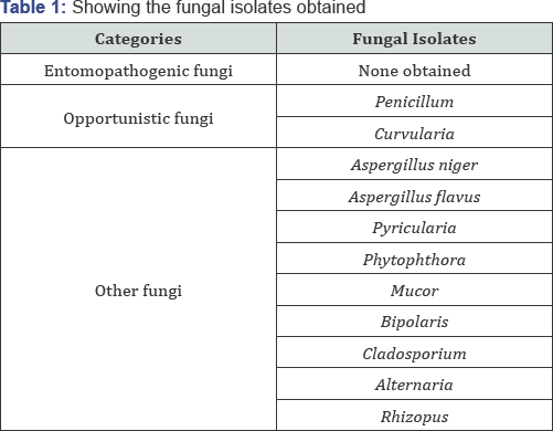 Click here to view Large Table1