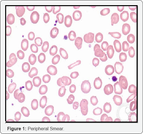 Click here to view Large Figure 1
