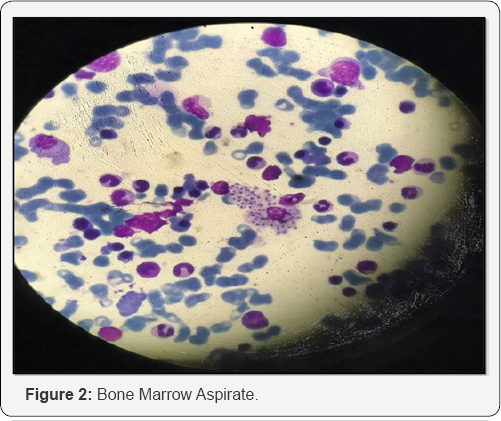 Click here to view Large Figure 2