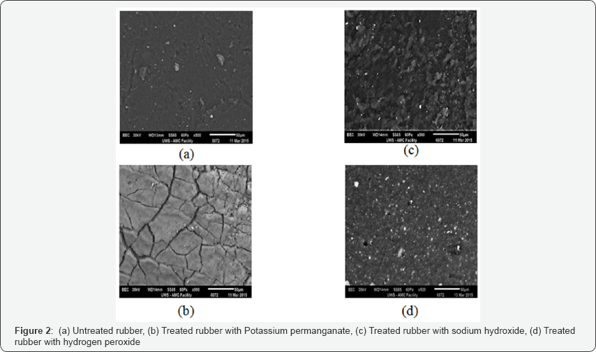 Click here to view Large Figure 2