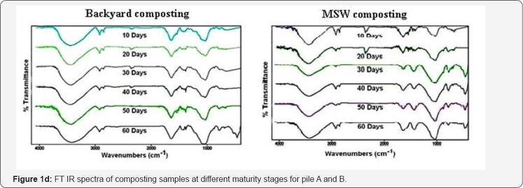 Click here to view Large Figure 1