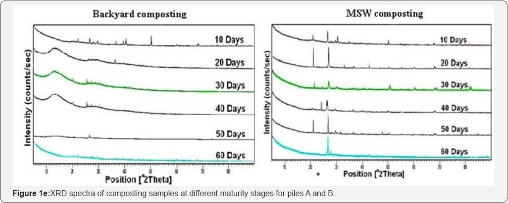 Click here to view Large Figure 1