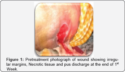 Click here to view Large Figure 1