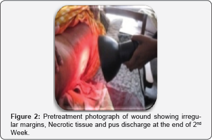 Click here to view Large Figure 2