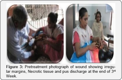 Click here to view Large Figure 3