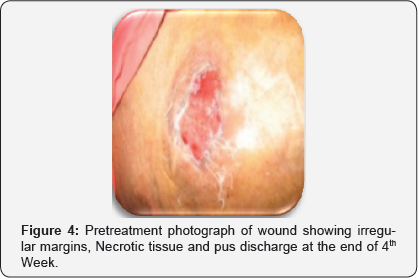 Click here to view Large Figure 4