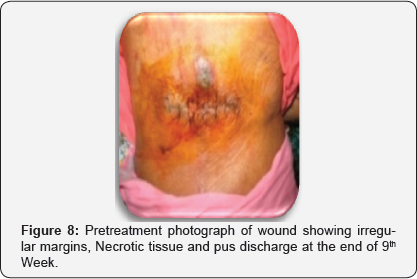 Click here to view Large Figure 8