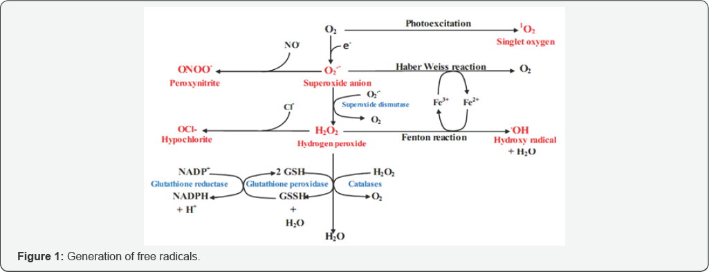 Click here to view Large Figure 1