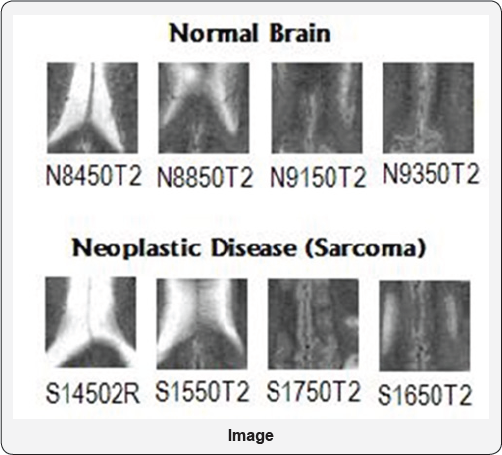 Click here to view Large Figure 12 width=