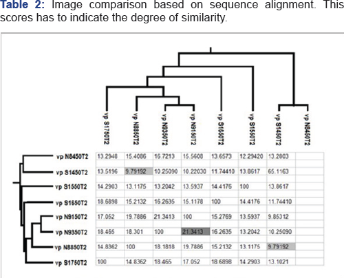 Click here to view Large Table 2