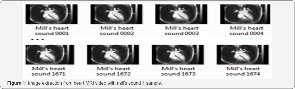 Click here to view Large Figure 1