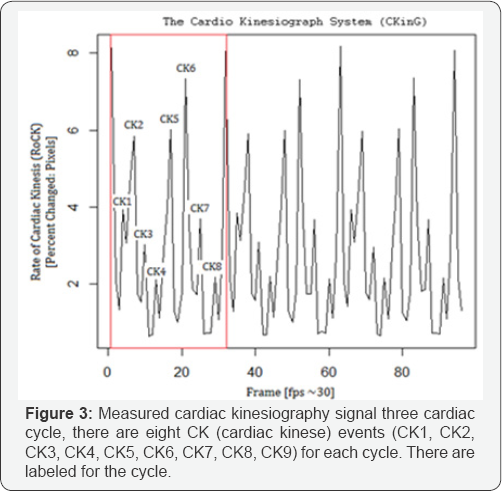 Click here to view Large Figure 3