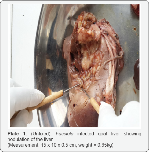 Click here to view Large Table 1