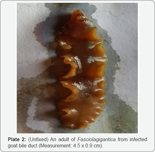 Click here to view Large Table 1