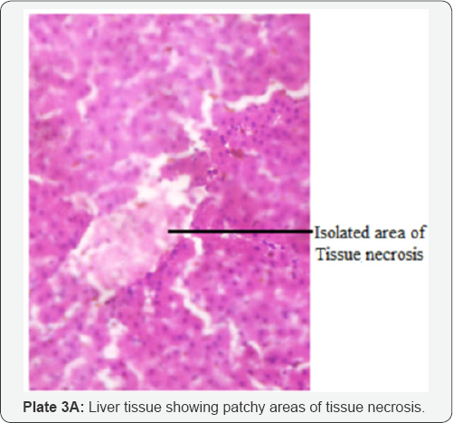 Click here to view Large Table 1