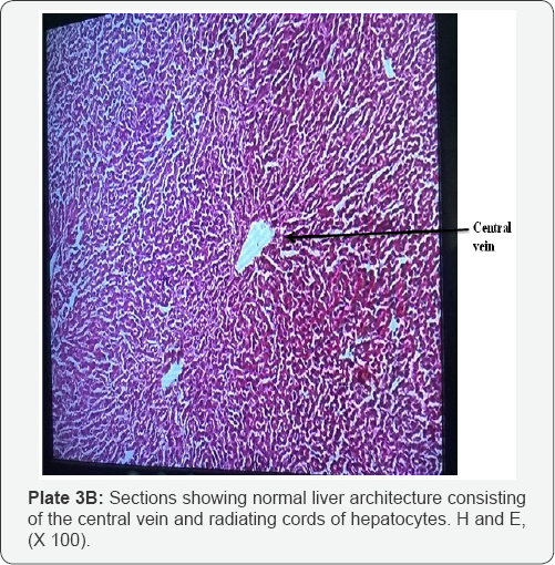 Click here to view Large Table 1