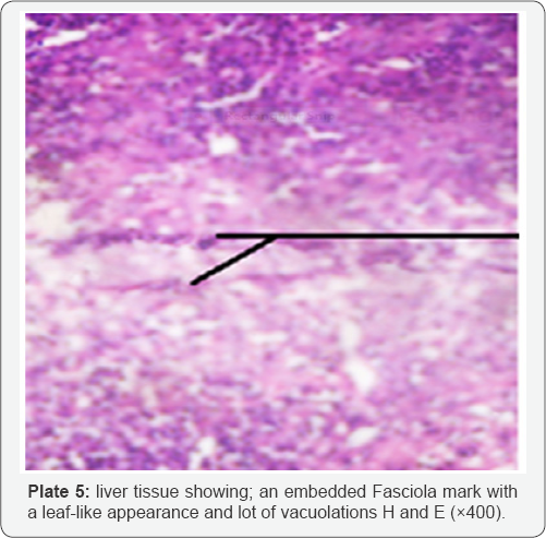 Click here to view Large Table 1