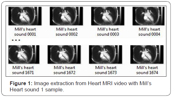 Click here to view Large Figure 1