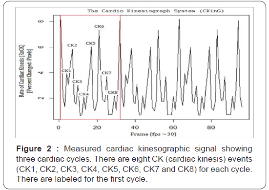 Click here to view Large Figure 2