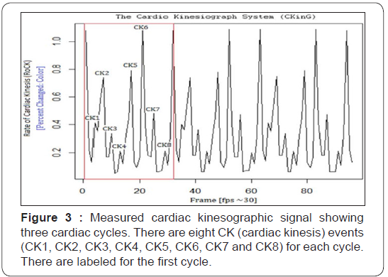 Click here to view Large Figure 3