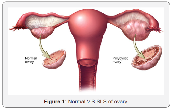 Click here to view Large Figure 1