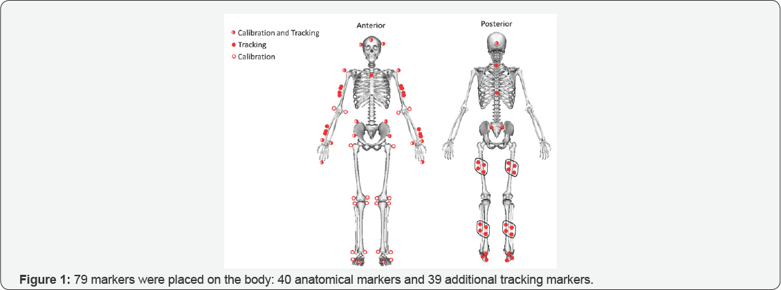 Click here to view Large Figure 1