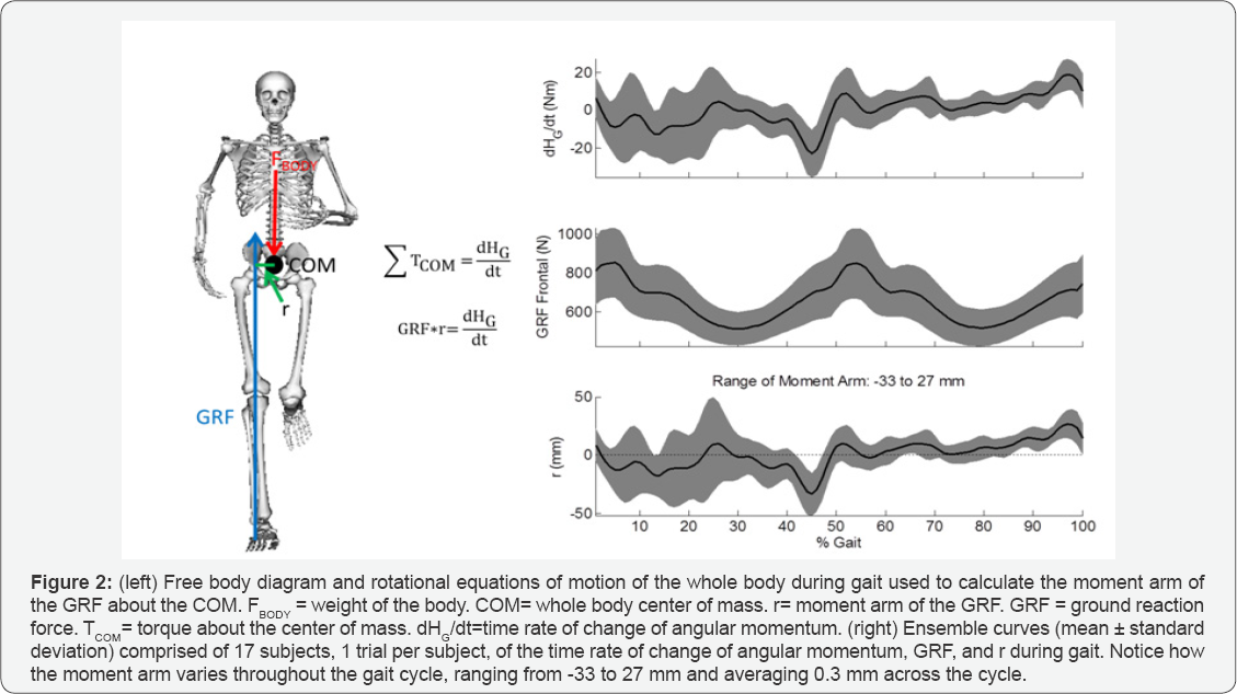 Click here to view Large Figure 2