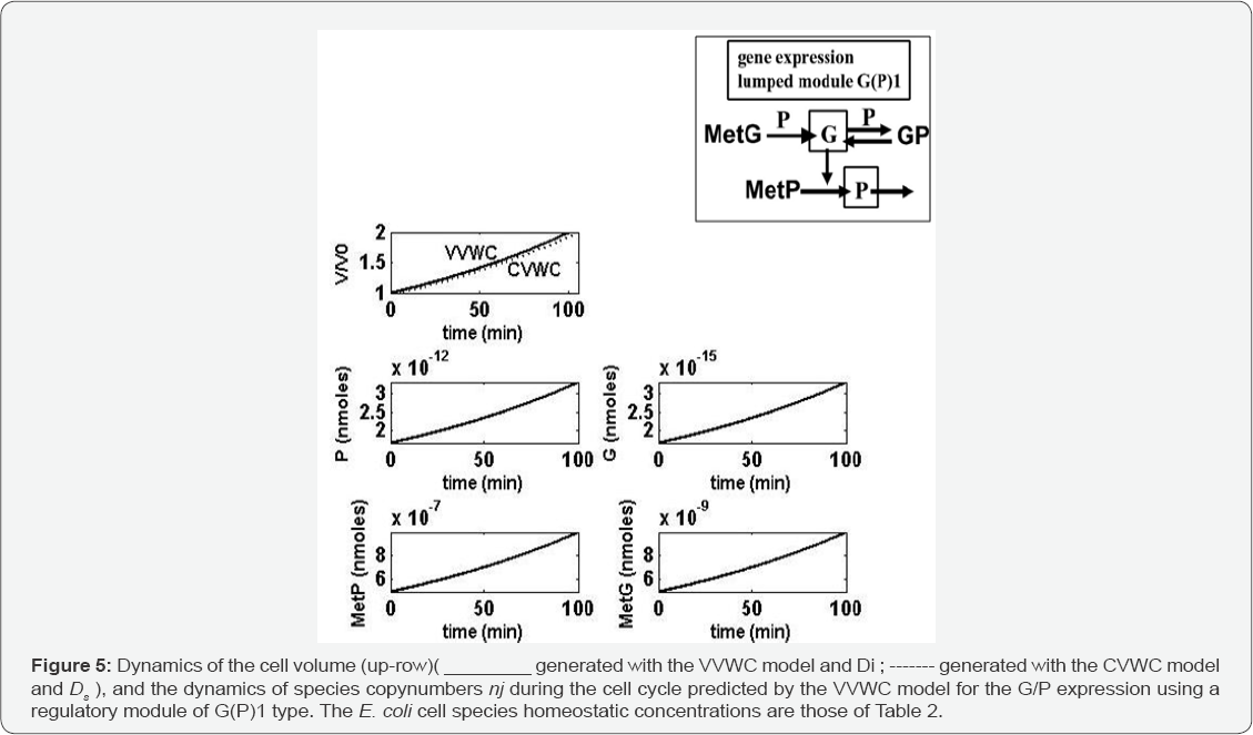 Click here to view Large Figure 5