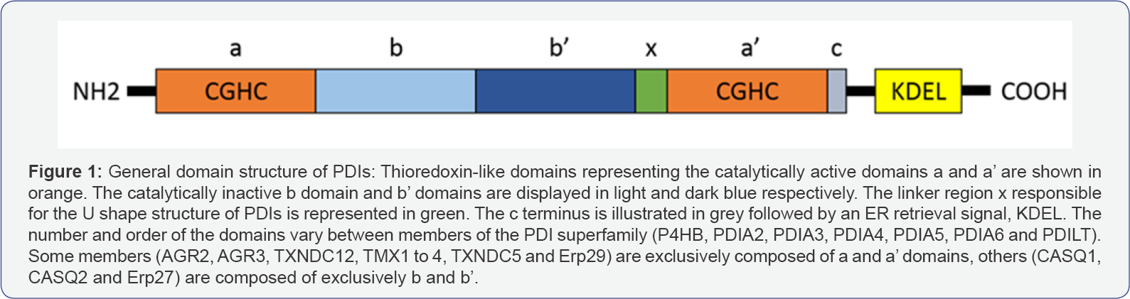 Click here to view Large Figure 1