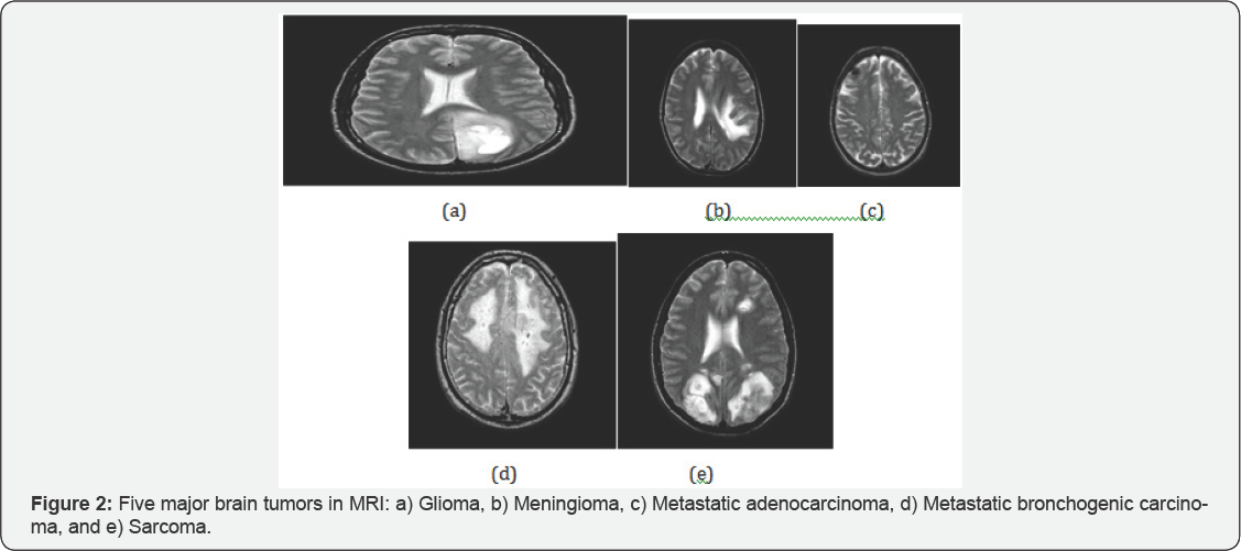 Click here to view Large Figure 2