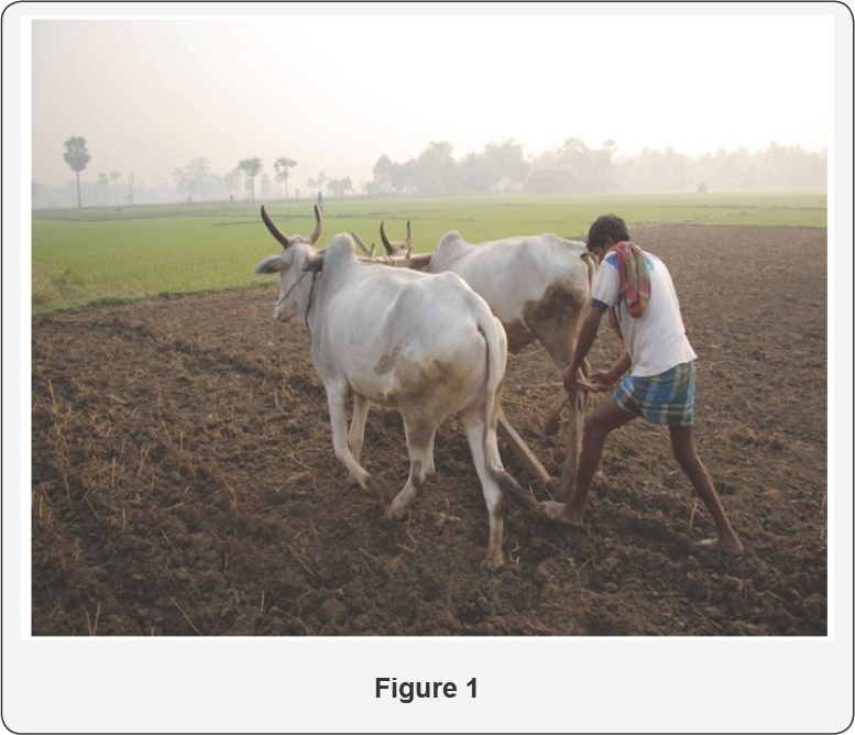 Click here to view Large Figure 1