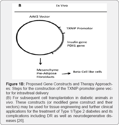 Click here to view Large Figure 2
