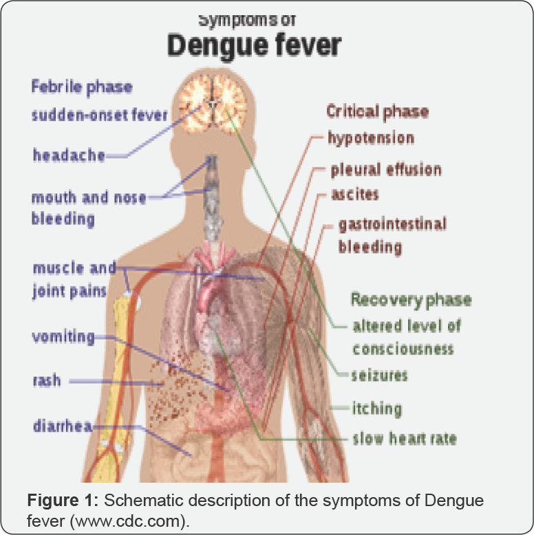 Click here to view Large Figure 1