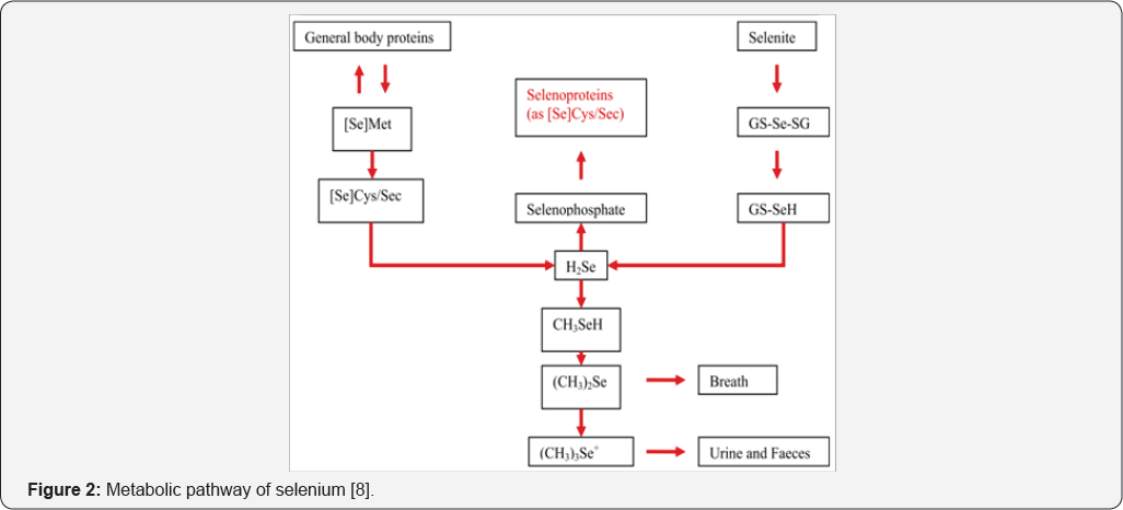 Click here to view Large Figure 2