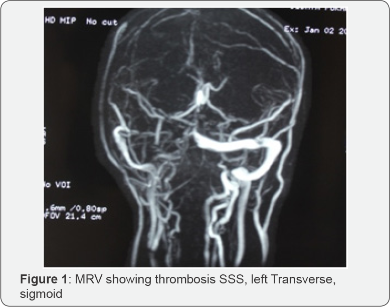 Click here to view Large Figure 1