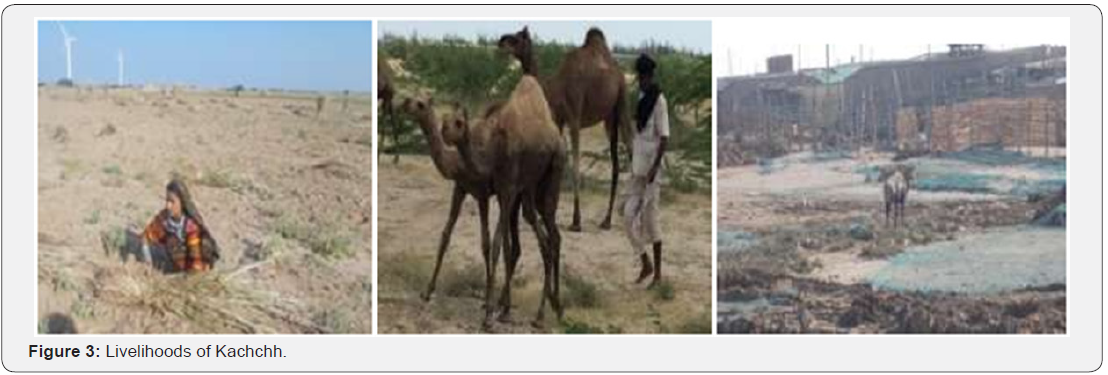 Click here to view Large Figure 3