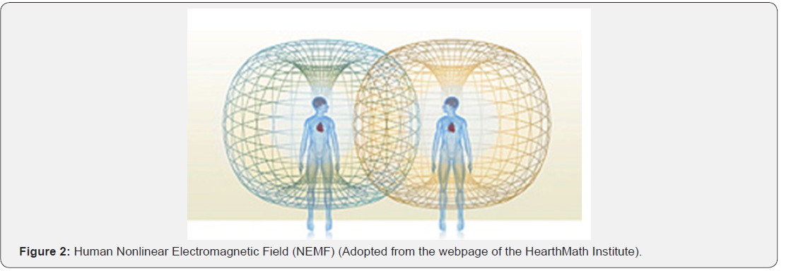 Click here to view Large Figure 2