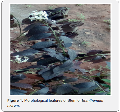 Click here to view Large Figure 1