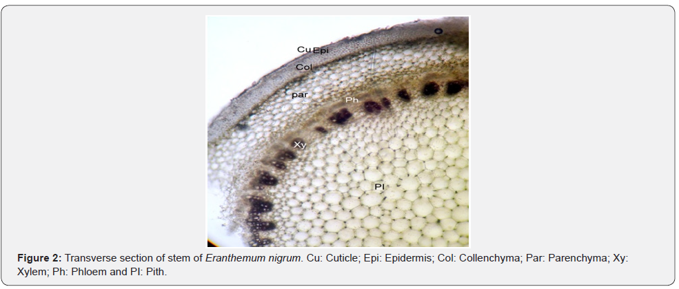 Click here to view Large Figure 2