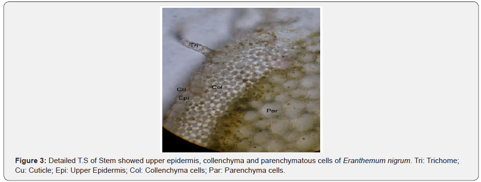Click here to view Large Figure 3