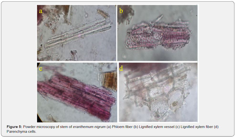 Click here to view Large Figure 5