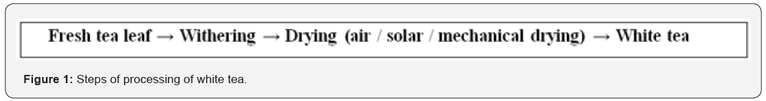 Click here to view Large Figure 1