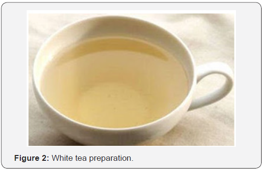 Click here to view Large Figure 2