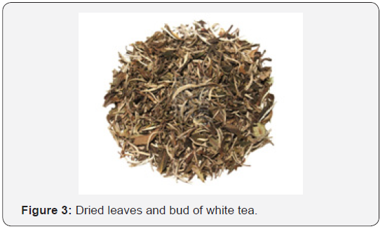 Click here to view Large Figure 3