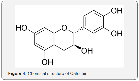 Click here to view Large Figure 4
