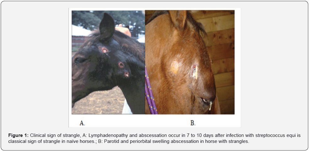 Click here to view Large Figure 1