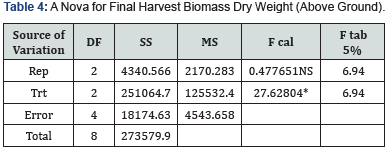 Click here to view Large Table 4