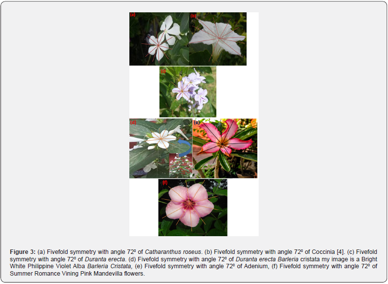 Click here to view Large Figure 3