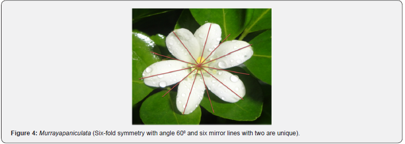 Click here to view Large Figure 4