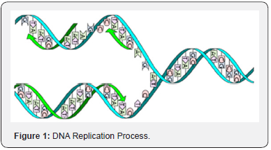 Click here to view Large Figure 1